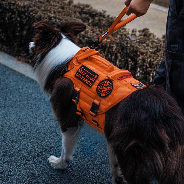 Detalle 2 de OneTigris Bolt Kurzführer Hund 30 cm – reflektierende Kurzleine mit Tiger-Zahn Metallclip und weicher Polsterung (Orange)