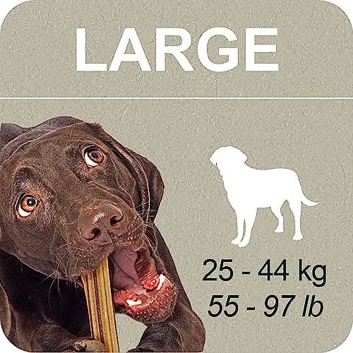 Thumbnail 5 de Ferplast Snack Chien Naturel Grande 435g 🍽