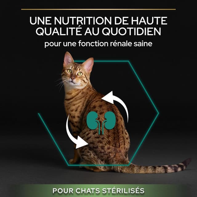 Thumbnail 4 de Pro Plan Renal Plus Chat Croquettes 10 kg