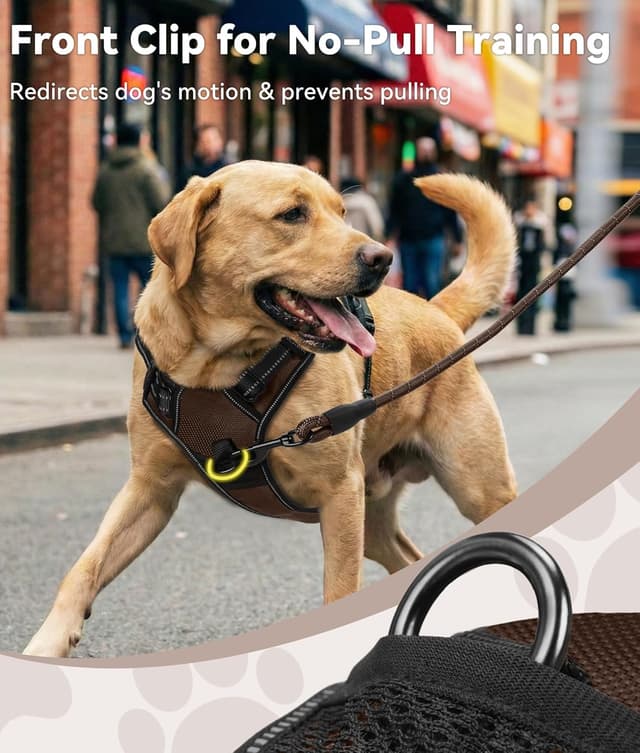 Detalle 2 de Joytale Large No-Pull Dog Harness with 2 Leash Clips, Reflective Straps and Control Handle (Brown, L)