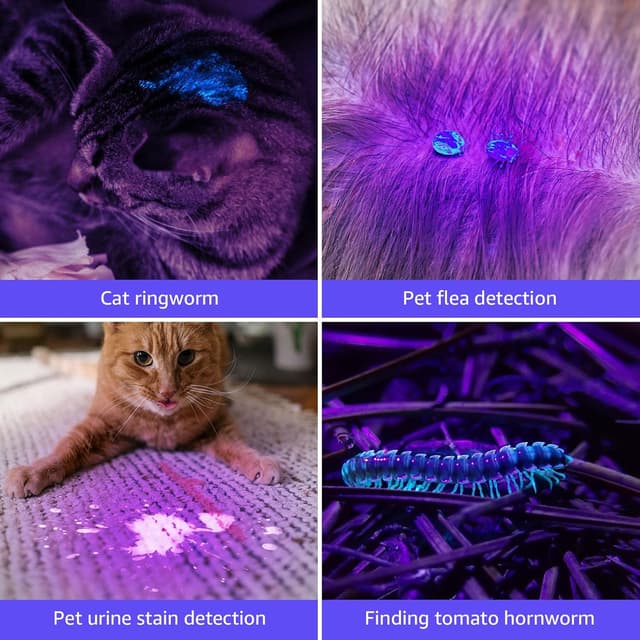 Detalle 2 de LE Torcia UV 21 LED 395nm tascabile 📡