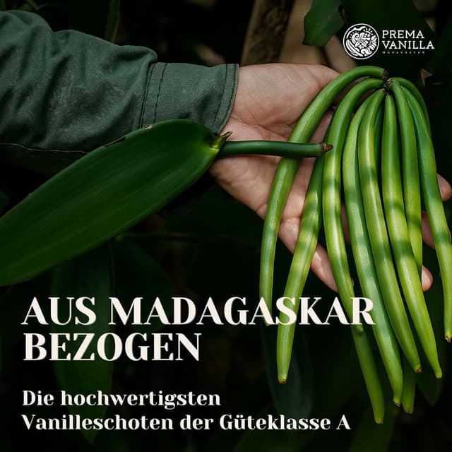 Thumbnail 1 de PREMA VANILLA 20+1 Bourbon Vanilleschoten 14–18cm