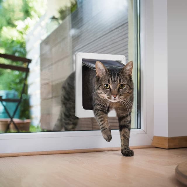 Detalle de Chatière pour chat avec fermeture magnétique à 4 voies et couvercle transparent, tunnel blanc 18 x 19 x 5,5 cm
