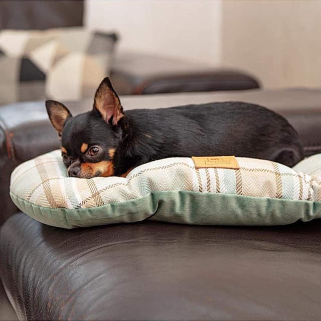 Thumbnail 2 de Ferplast SCOTT 45 cuscino imbottito double-face per cani e gatti