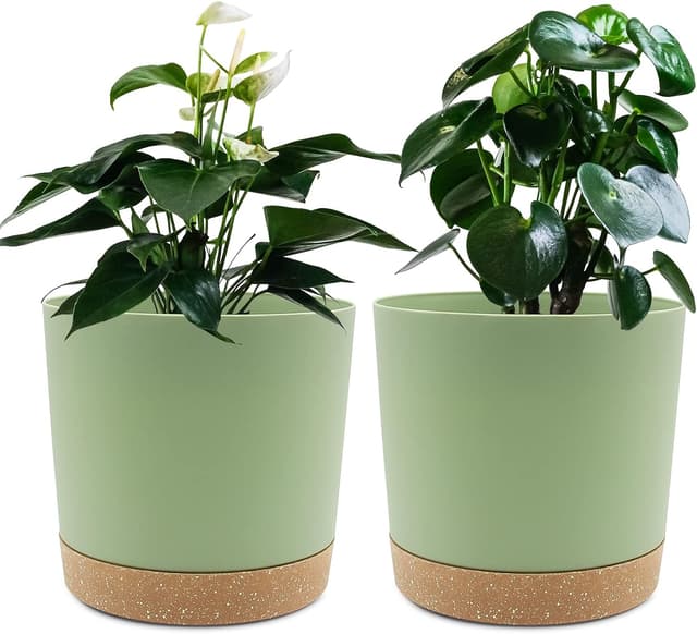 Detalle de QCQHDU 16.5cm Plant Pot (2-Pack) with Drainage Holes & Saucer, Green