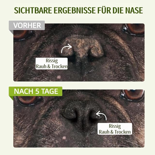 Detalle de Pflanzlicher Nasenbalsam für Hunde (1 oz) – natürliche Feuchtigkeit bei trockener, rissiger Hundenase