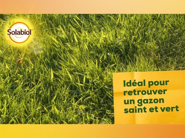 Thumbnail 5 de SOLABIOL Carbonate De Chaux Et De Magnésium 10 kg