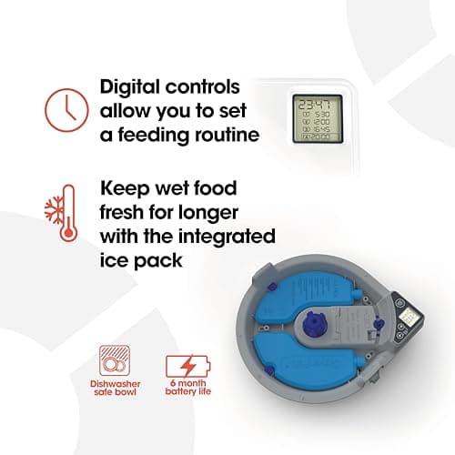 Detalle de Comedero Automático Cat Mate C500 para Gatos y Perros 🐾