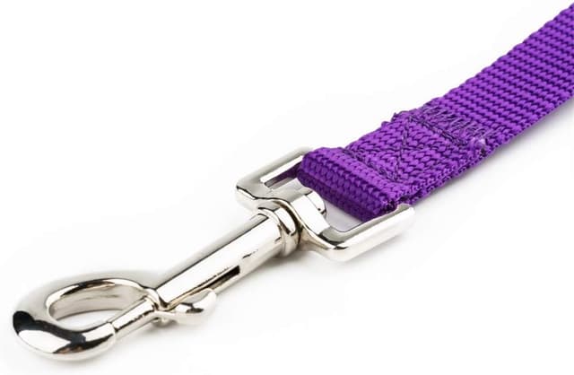 Detalle de YUDOTE Basic Nylon Dog Lead (2.5cm x 120cm) in Vibrant Purple