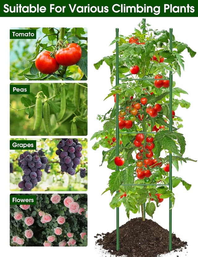 Detalle de MQJIAZHI 6 Pack Tomato Cage for Garden with Height Adjustable Stakes (Extra Bold) up to 51.2in