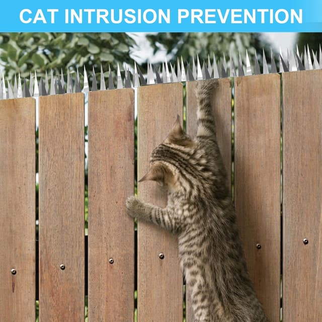 Detalle de Anti-Pigeon/Bird/Cat Deterrent Spikes – 2m Stainless Steel Cross-Row Spikes for Bird Feeders, Fences & Gutters