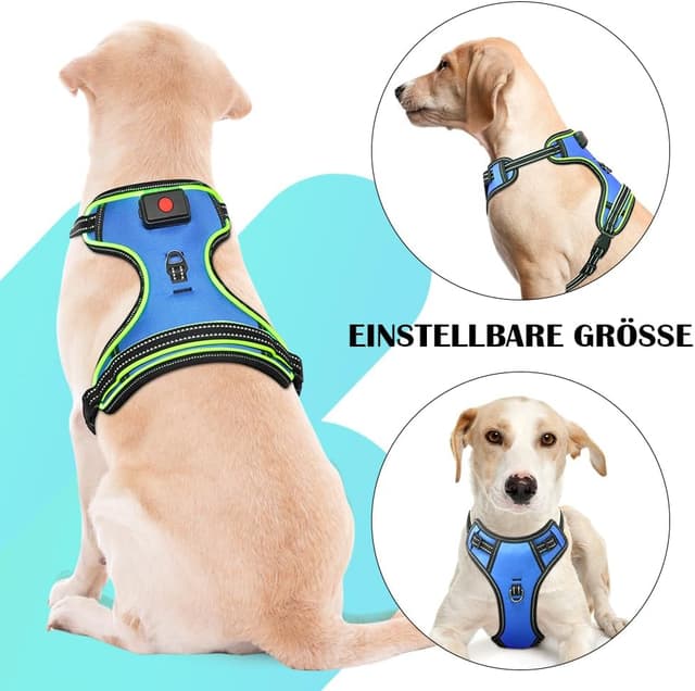 Detalle 2 de Ezierfy leuchtendes LED-Hundegeschirr (wiederaufladbar) mit reflektierender Hundeweste – Anti-Zug, 3 Leuchtmodi, Blau/Grün, Größe L