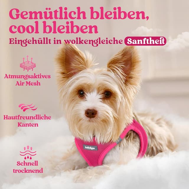 Detalle de rabbitgoo Hundegeschirr für kleine Hunde (XS) – Step-in Welpengeschirr mit weichem Mesh, atmungsaktiv & reflektierend