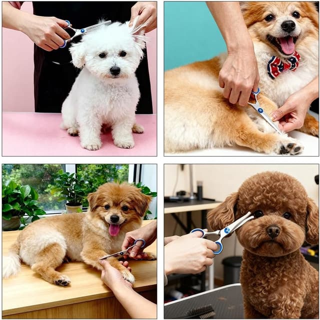 Thumbnail 6 de AYBUY Hundeschere mit runder Spitze