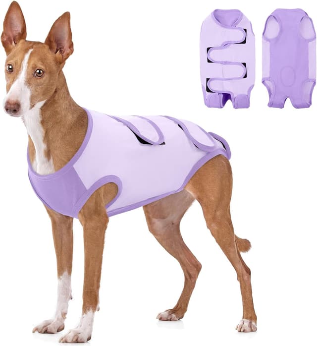 Detalle de ASENKU body post operatorio per cane femmina con colletto alternativo dopo l’intervento