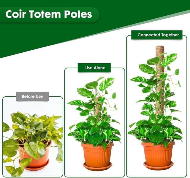 Thumbnail 2 de Mactoou Moss Pole 41cm