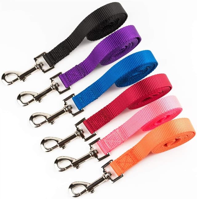 Thumbnail 6 de YUDOTE Basic Nylon Dog Lead (2.5cm x 120cm) in Vibrant Purple