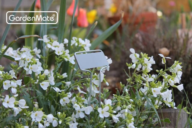 Thumbnail 6 de GardenMate étiquettes plantes métal 25
