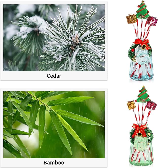 Detalle de DIUFJAG Lot de 2 diffuseurs parfumés 180 ml avec 12 bâtonnets de roseau (Cèdre/Bambou)