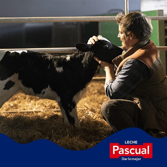 Thumbnail 6 de Leche Pascual Clásica Entera 6x1L 🥛