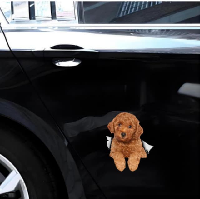 Detalle 2 de Autoaufkleber Pudel 22 cm reflektierend