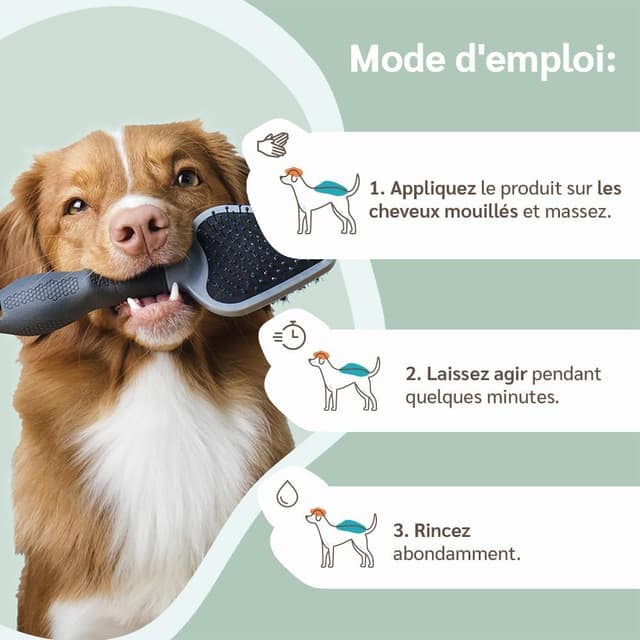 Thumbnail 4 de amusi Shampoing Peau Sensible 250 ML