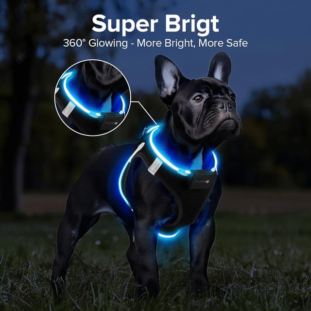 Detalle de PcEoTllar Light Up Dog Harness with Rechargeable LED (Waterproof, Reflective) – Black-S
