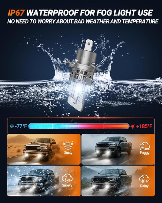 Detalle 2 de SEALIGHT H4 Fog Light Bulbs 40000LM