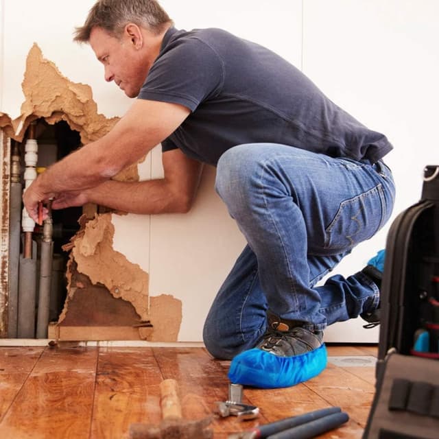 Thumbnail 3 de WUJUN Disposable Shoe Covers 100 Pack