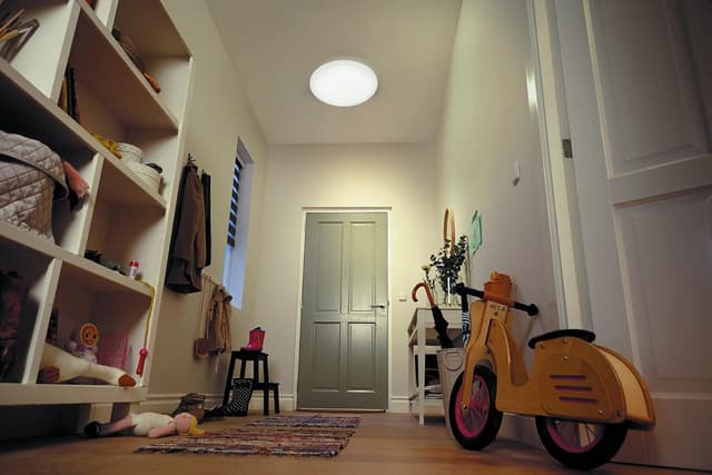 Detalle 2 de Philips Lighting Lámpara LED 12W 🌟 Luz Blanca Eficiente