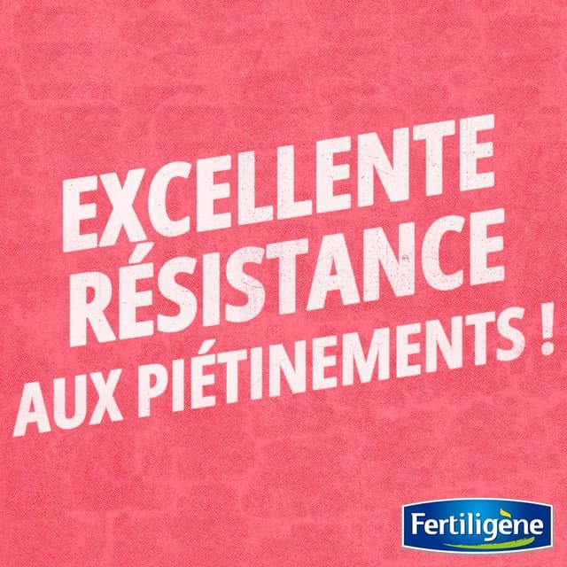 Thumbnail 3 de Fertiligène Rust35 Semences Gazons Rustiques 875 g