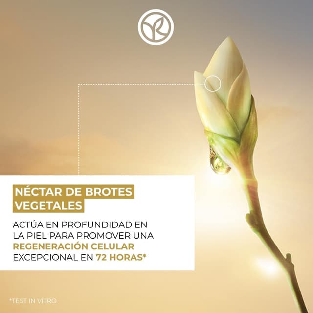 Thumbnail 2 de Yves Rocher ANTI-ÂGE GLOBAL - Crema Regeneradora Facial