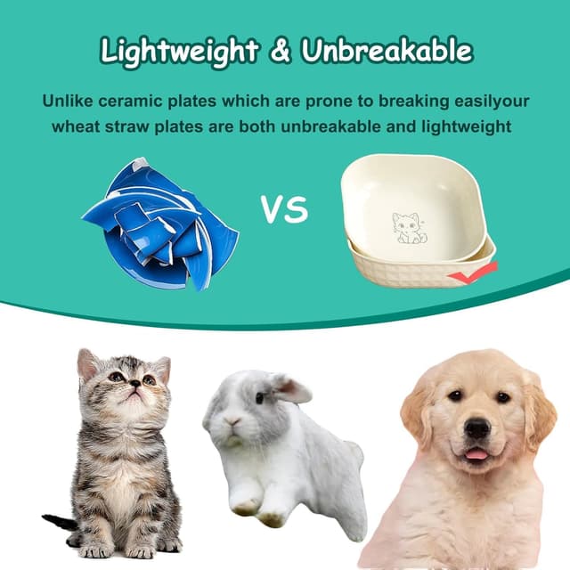 Detalle 1 de 10er Set flache Katzennäpfe aus PP