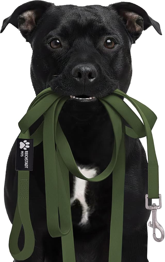 Detalle de Reichstadt Pets guinzaglio robusto in PVC impermeabile con moschettone inox 360° – 10 m