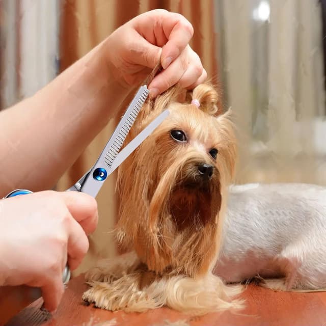 Thumbnail 5 de Dog Grooming Scissors 4-in-1 kit with steel comb ✂