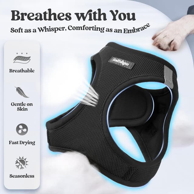 Detalle 2 de rabbitgoo Step-in Soft Mesh Dog Harness with Leash Set (Small) – Black, M