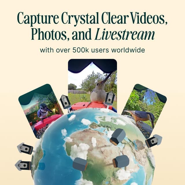 Detalle de Bird Buddy Bird Feeder Cam with AI