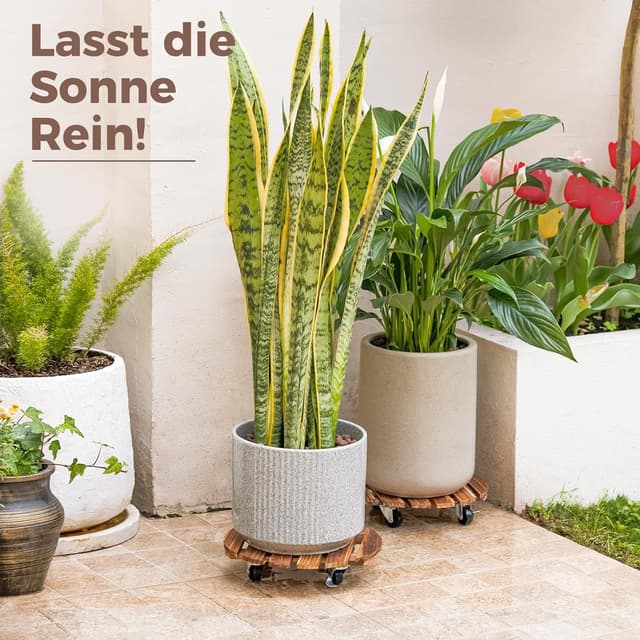 Thumbnail 6 de Bamworld Pflanzenroller 2er-Set (Ø 30,5 cm) – mit feststellbaren Rollen, belastbar bis 130 kg