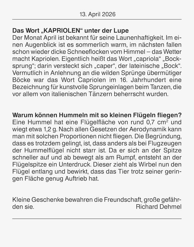 Detalle de BRUNNEN Abreißkalender ’26 Nr. 13, 98×142 mm – Tagesübersicht für Büro & Zuhause