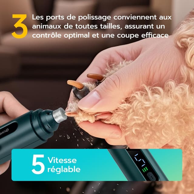 Thumbnail 4 de Mcbazel Meuleuse de griffes 5 vitesses 🐾