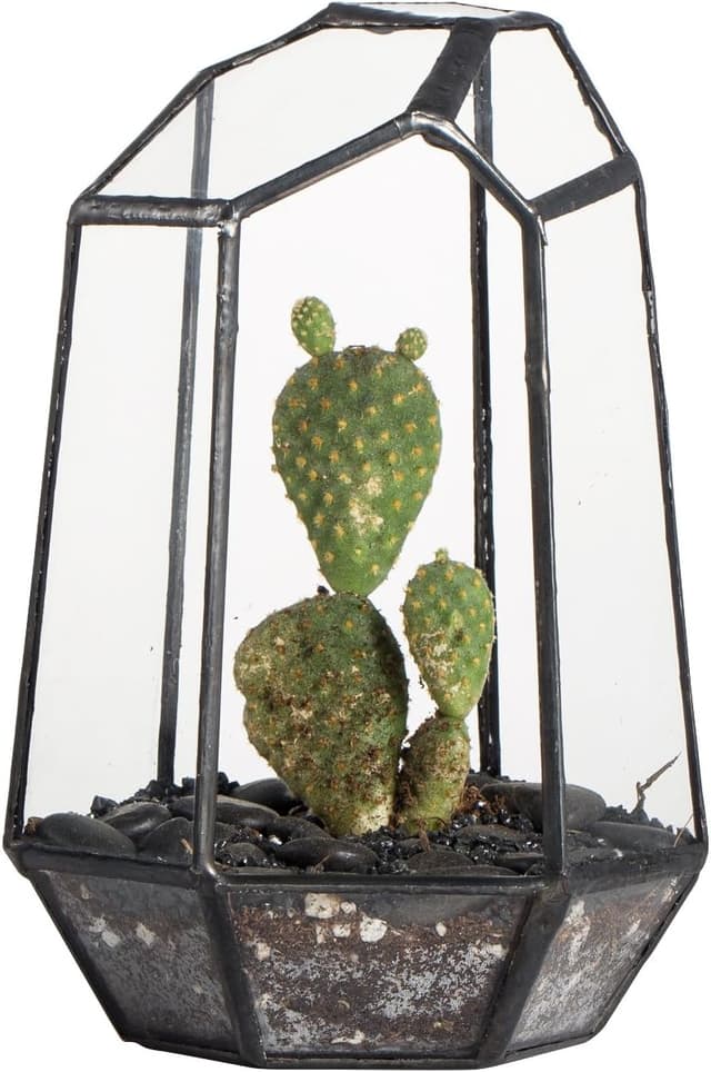 Detalle de NCYP Geometric Opened Glass Terrarium for Succulents 10.5x9x15 cm