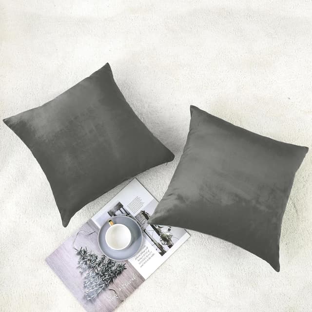 Thumbnail 1 de NiNi ALL Velvet Throw Pillow Covers 20x20 Pack of 2 🛋