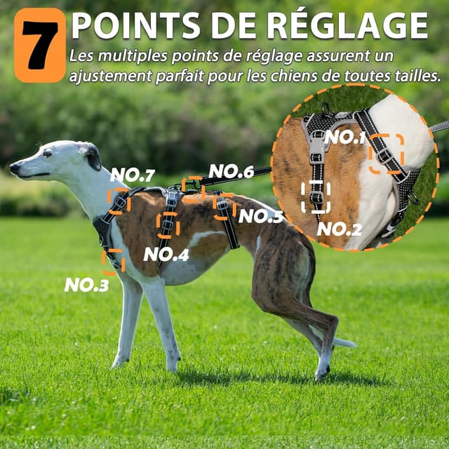 Thumbnail 6 de Huntboo Harnais anti-fugue réfléchissant anti-traction pour chien (noir, taille L)