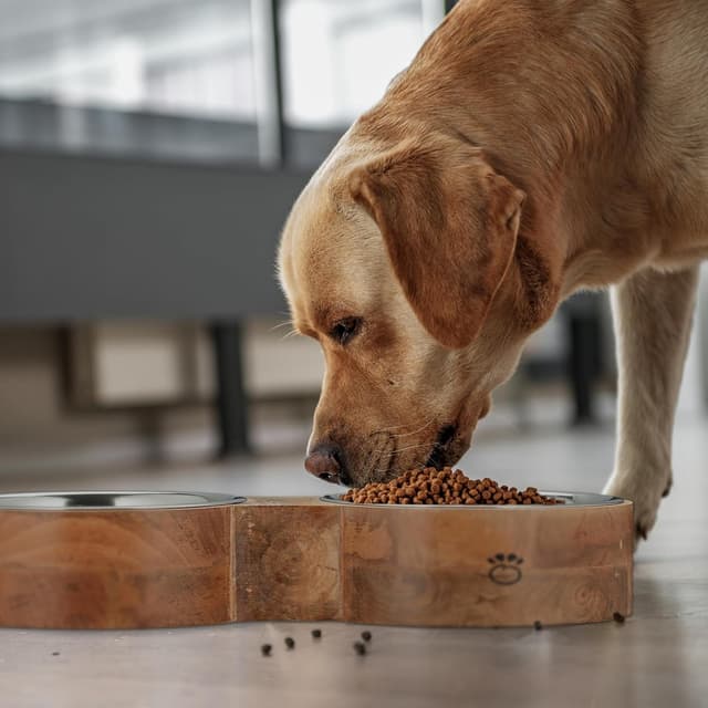 Detalle de Relaxdays Hundenapfbar mit 2 Edelstahlnäpfen (2 x ca. 2,2 l) – Futterbar Natur/Silber für mittelgroße & große Hunde