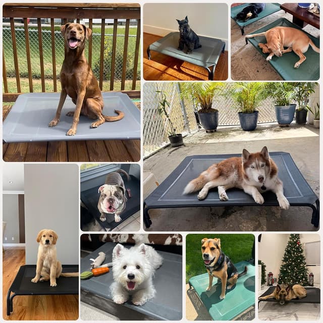 Thumbnail 6 de DOPEDIO Elevated Dog Bed 43.3 in
