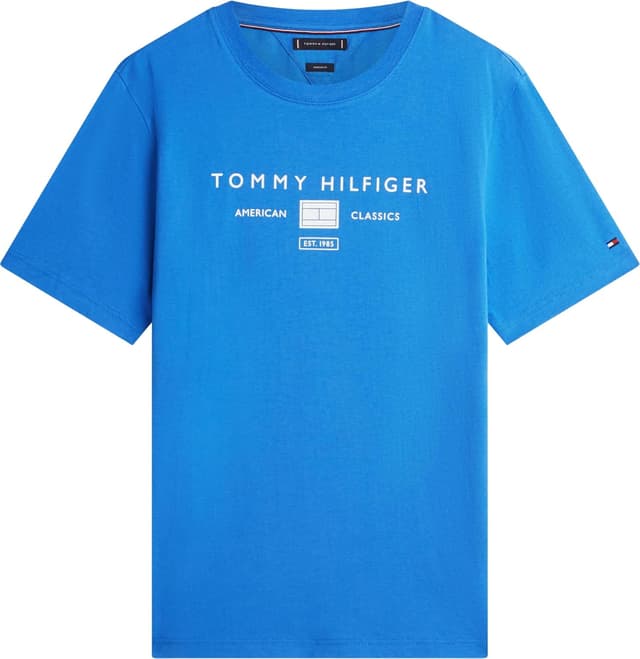 Detalle de Tommy Hilfiger Brand Love Mono Stack Tee (MW0MW42365) maglietta uomo a maniche corte