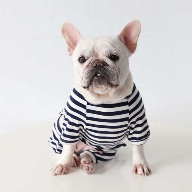 Detalle 2 de BT Bear Fat Dog Clothes Classic Striped Pyjamas Dog Onesie Jumpsuit (Black, Size M)