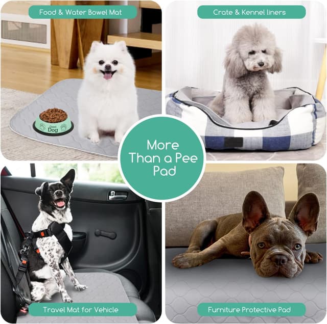 Thumbnail 6 de Nobleza Empapadores para Perros Pequeños 60x45 cm