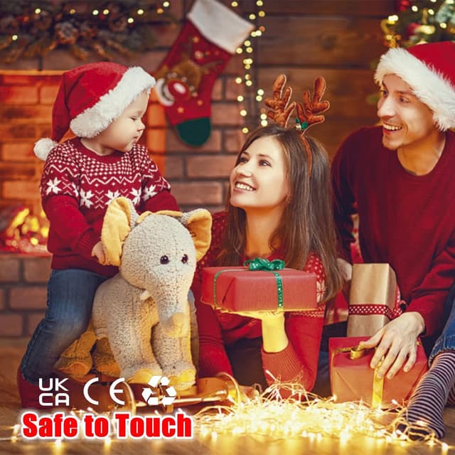 Detalle 2 de Fairy Lights Mains Powered 100m/328ft, 1000 LED Plug-in String Lights with 8 Modes (Warm White)