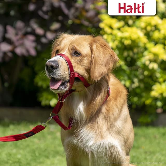 Detalle 1 de Halti Kopfkragen für Hunde, Rot, Größe 3